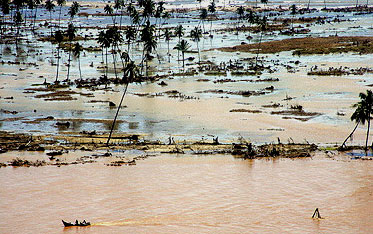 Flooded fields in North Sumatra, Indonesia
