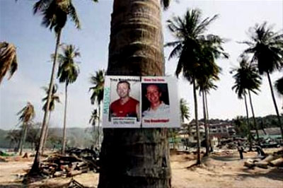 A missing person notice on a palm tree