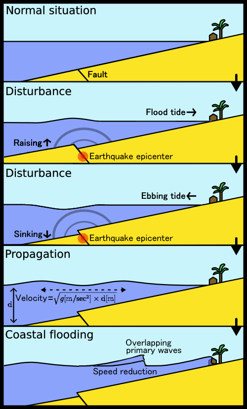 tsunami illustration
